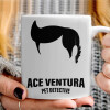   Ace Ventura Pet Detective