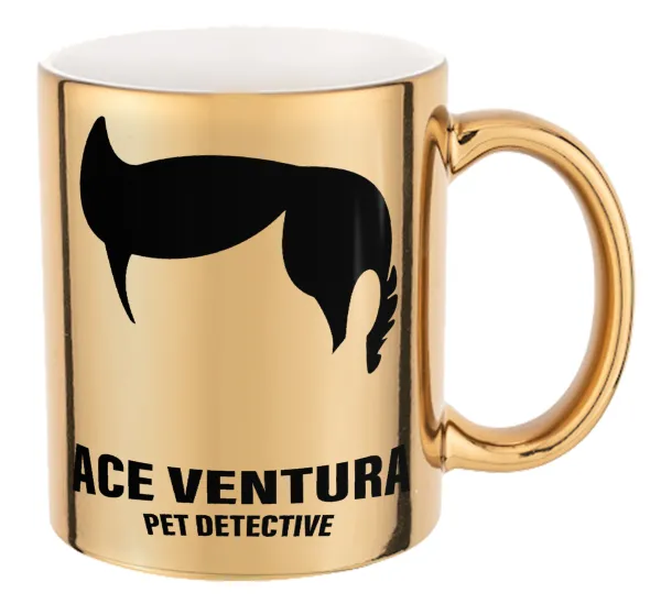 Ace Ventura Pet Detective — 1