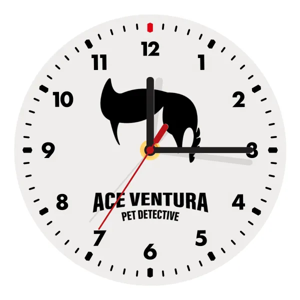 Ace Ventura Pet Detective — 1