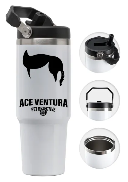 Ace Ventura Pet Detective — 1