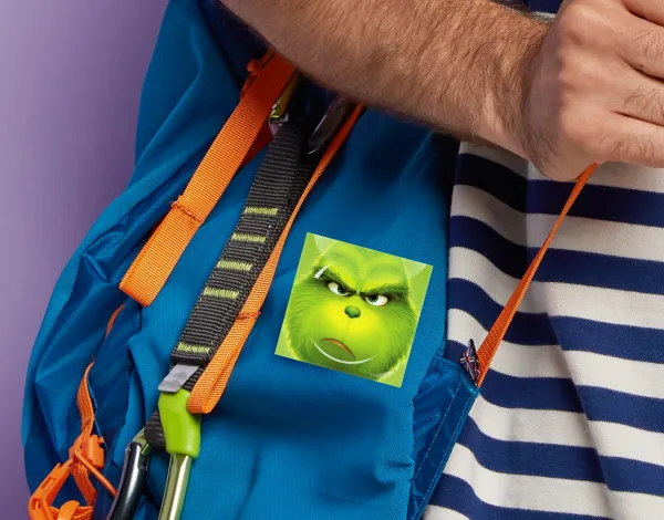 mr grinch — 2