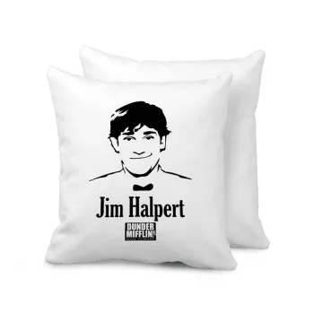 The office Jim Halpert, Sofa cushion 40x40cm includes filling