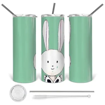 Ο λαγός του πάσχα, Tumbler stainless steel 600ml, with metal straw & cleaning brush