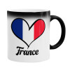  France flag