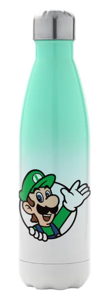 Super mario Luigi win — 1