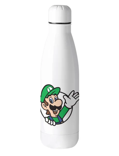 Super mario Luigi win — 1