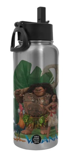 Vaiana — Metal mug thermo Silver with Straw and Spout Lid (Stainless steel), double wall, 950ml