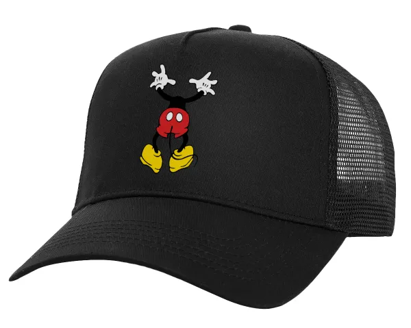 Mickey hide... — 1