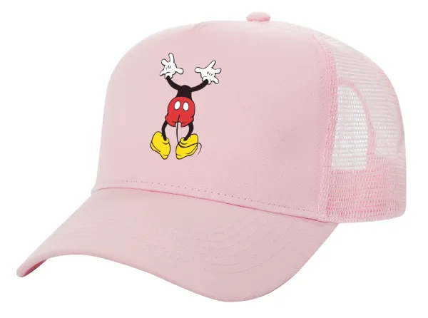 Mickey hide... — 1