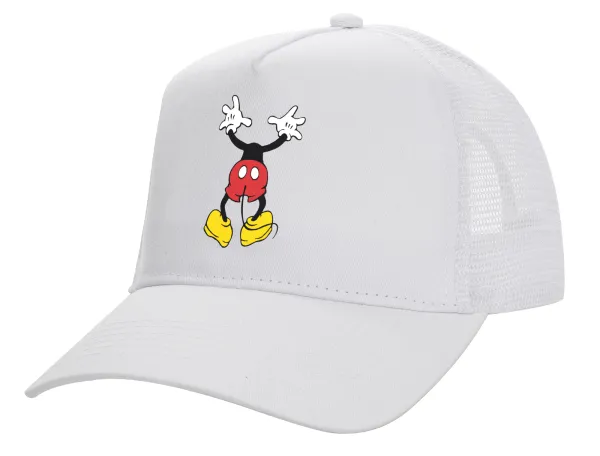 Mickey hide... — 1
