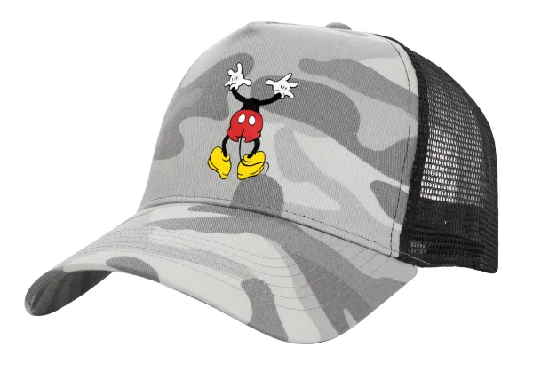 Mickey hide... — 1