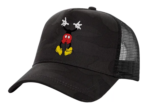 Mickey hide... — 1