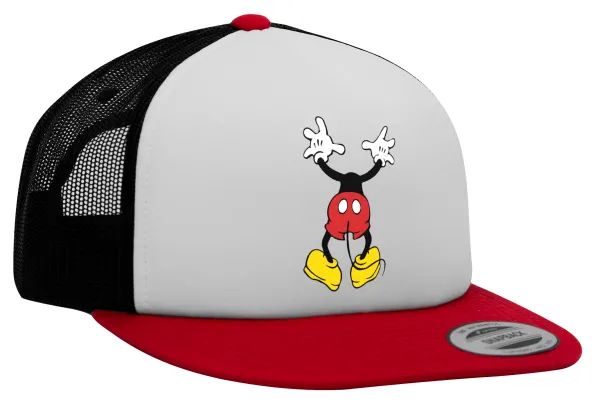 Mickey hide... — 1