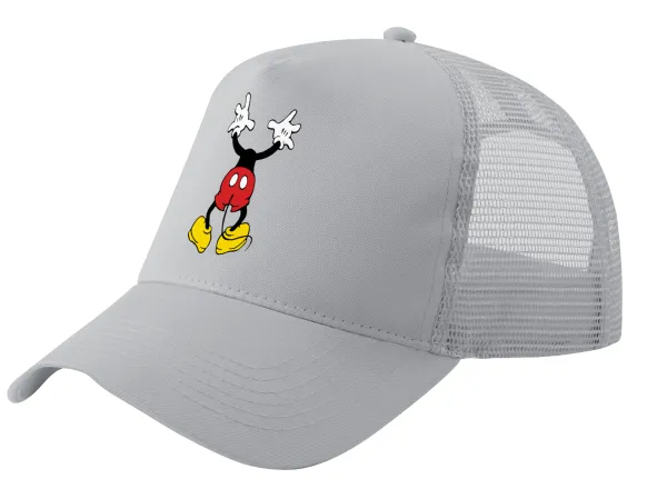 Mickey hide... — 1