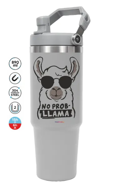 No Prob Llama — 1