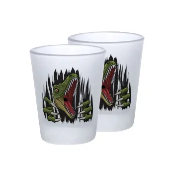 Dinosaur scratch, Σφηνοπότηρα γυάλινα 45ml του πάγου (2 τεμάχια)