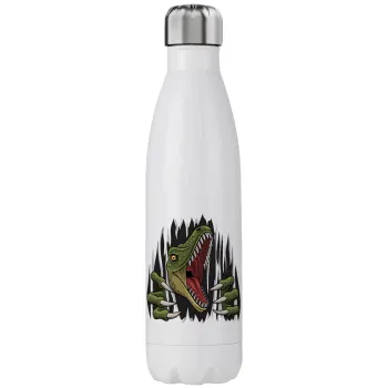 Dinosaur scratch, Μεταλλικό παγούρι θερμός (Stainless steel), διπλού τοιχώματος, 750ml