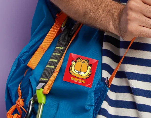Garfield — 2