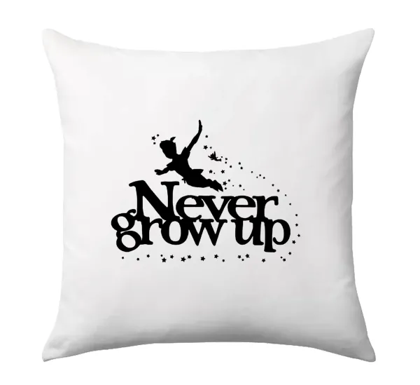 Peter pan, Never Grow UP — 1