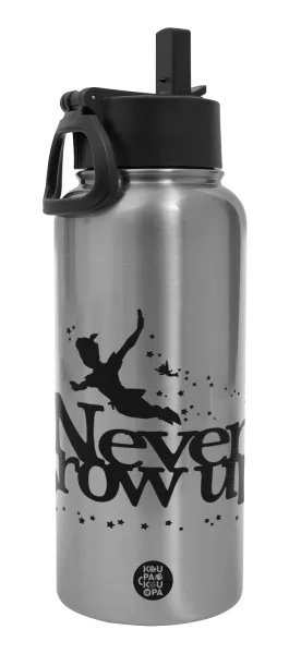Peter pan, Never Grow UP — 1