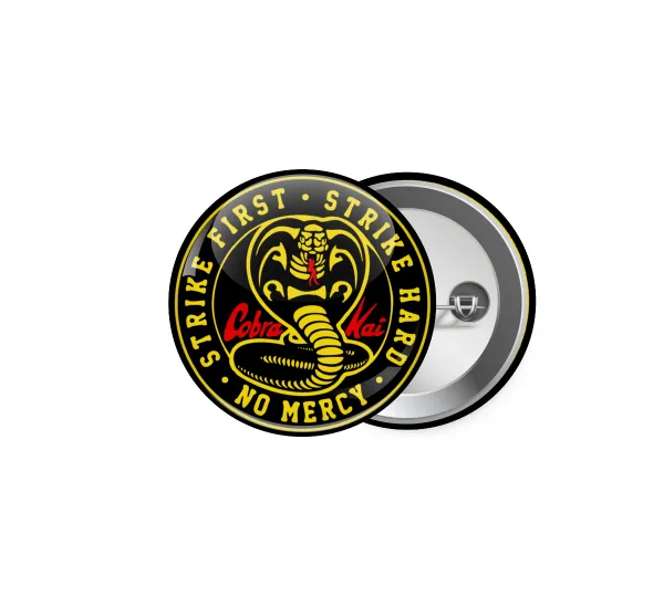 cobra kai strike first dojo — 1