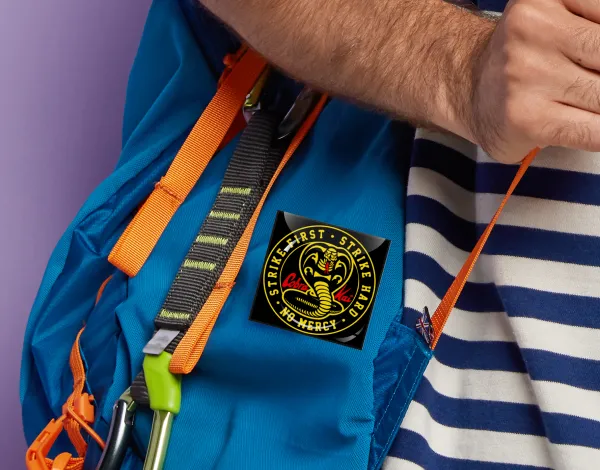 cobra kai strike first dojo — 2