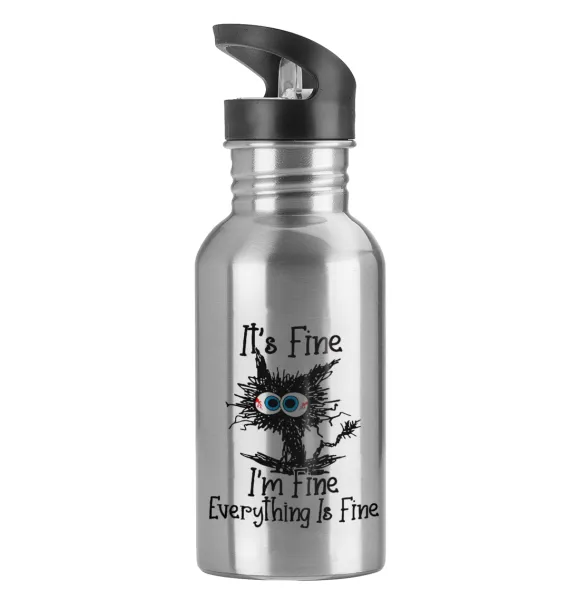 Cat — Water bottle Silver with straw, stainless steel 600ml