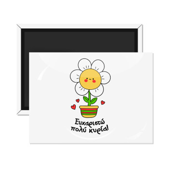 Ευχαριστώ πολύ κυρία!!!, Ορθογώνιο μαγνητάκι ψυγείου διάστασης 9x6cm