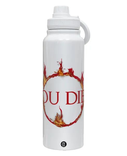 You Died | Dark Souls — 1