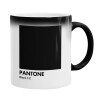  Pantone Black