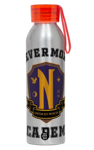 Wednesday Nevermore Academy University — 1