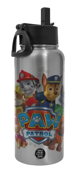 PAW patrol — Metal mug thermo Silver with Straw and Spout Lid (Stainless steel), double wall, 950ml