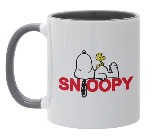 Snoopy sleep — 1