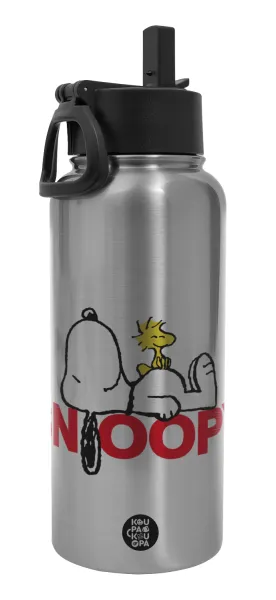 Snoopy sleep — 1