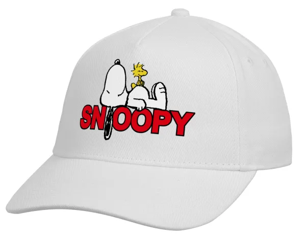 Snoopy sleep — 2