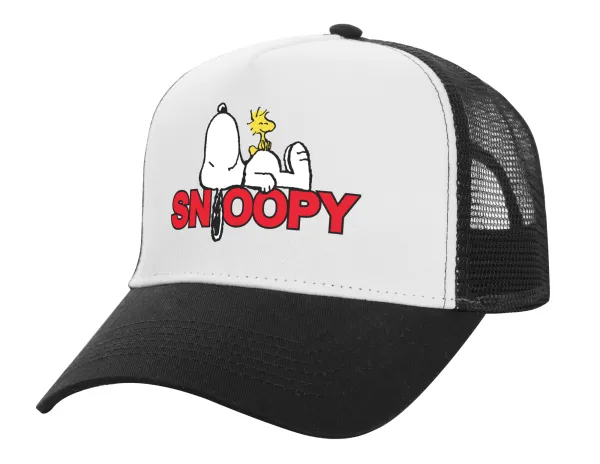 Snoopy sleep — 1