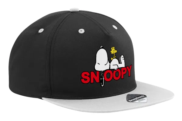Snoopy sleep — 1