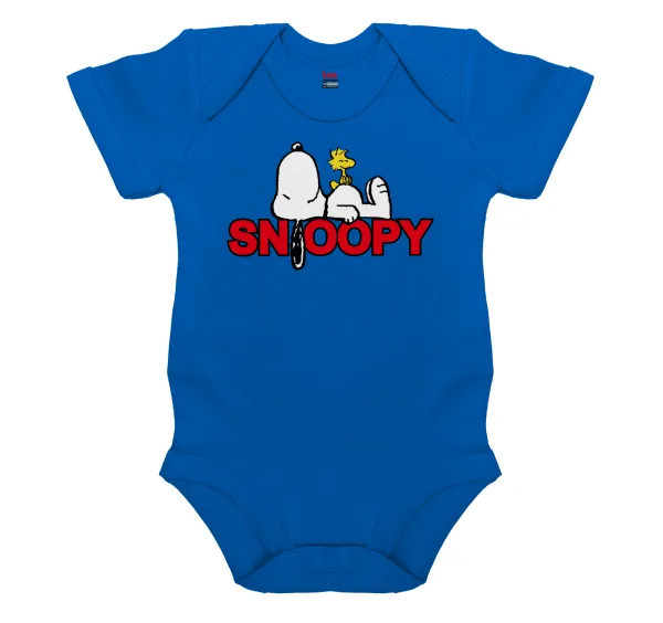 Snoopy sleep — 1