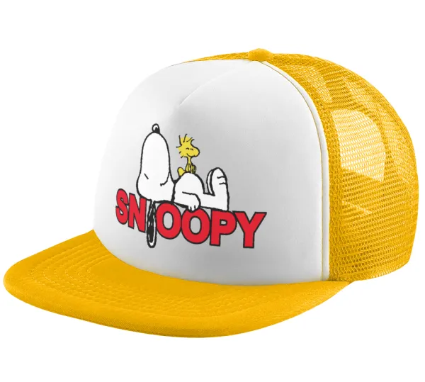Snoopy sleep — 1