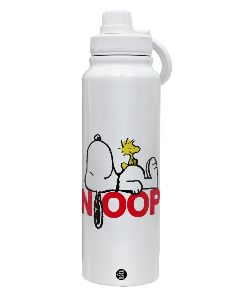 Snoopy sleep — 1