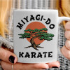   Miyagi-do karate