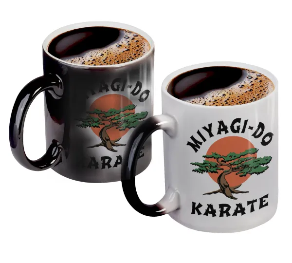 Miyagi-do karate — 1