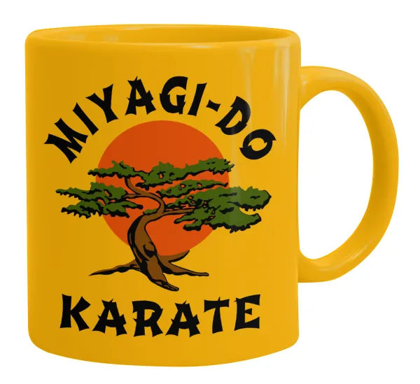 Miyagi-do karate — 1