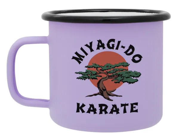 Miyagi-do karate — 1
