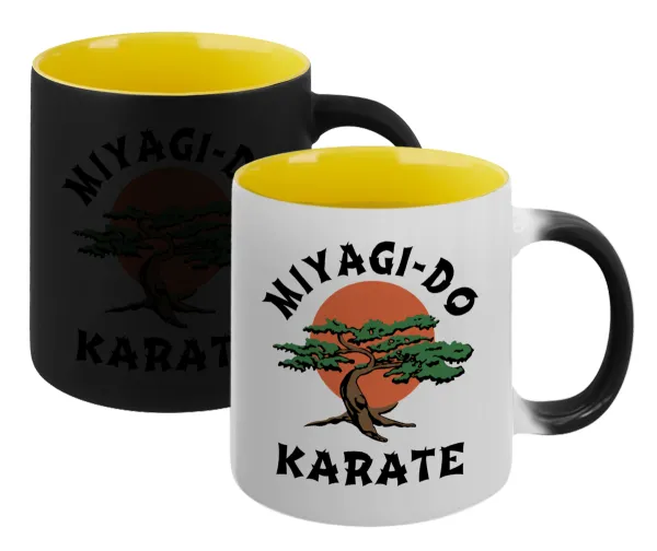Miyagi-do karate — 1