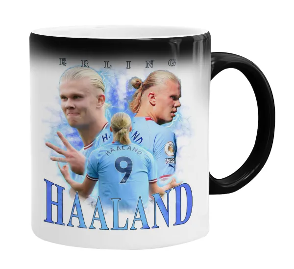 Erling Haaland — 2