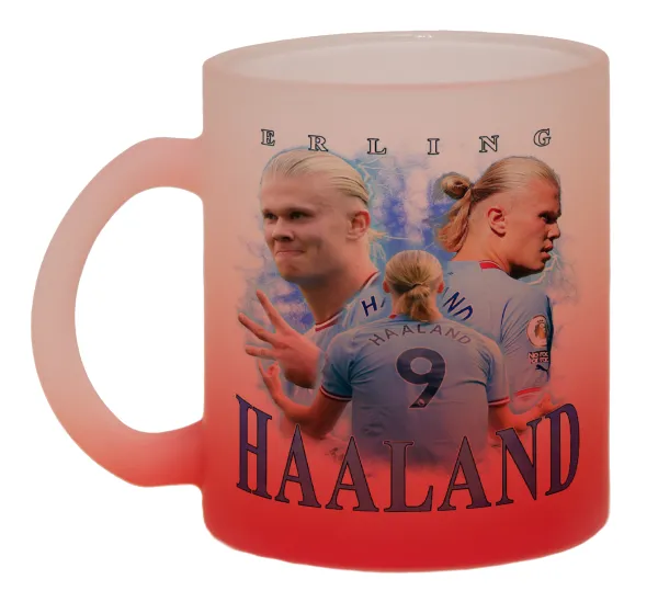 Erling Haaland — 1