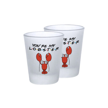 Friends you're my lobster, Σφηνοπότηρα γυάλινα 45ml του πάγου (2 τεμάχια)