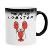  Friends you're my lobster