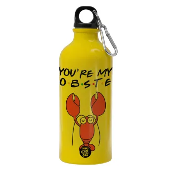 Friends you're my lobster, Παγούρι νερού 600ml